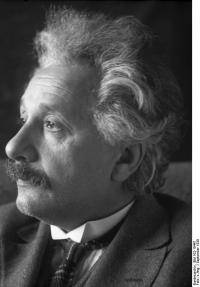  ВАЗ: Загадка Эйнштейна  98 людей не могут ее разгадать