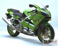 Мотоциклы: куплю мотоцикл Kawasaki ZX 6R Ninja 636 годов 03 04