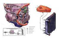  Москвич 2141: Система охлаждения двигатель рено